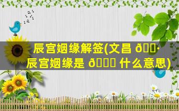 辰宫姻缘解签(文昌 🌷 辰宫姻缘是 🐅 什么意思)